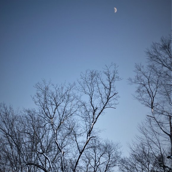 Meet your Posher, Posh - Picture 7 of 16